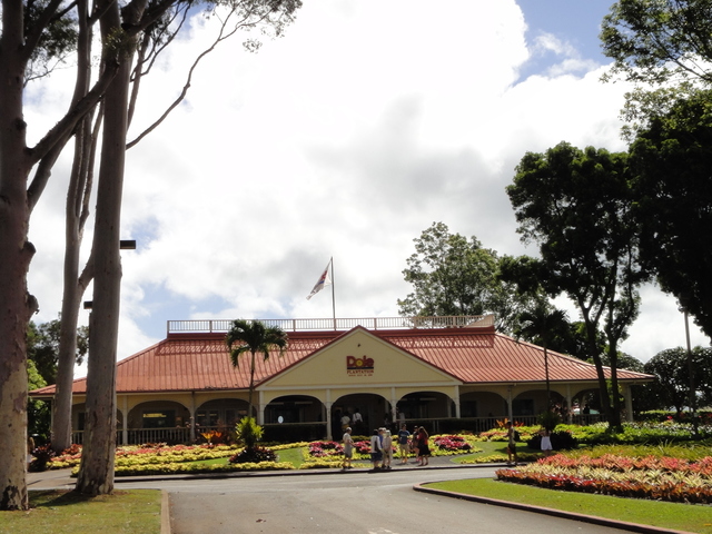 ハワイ ドールプランテーション Dole Plantation ザ バスでの行き方 ハワイ旅行記